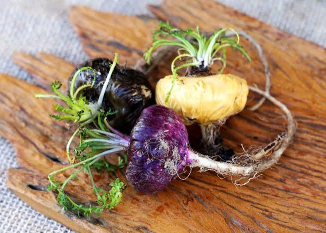 Whole turnip-shaped root vegetables next to a scoop of fine tan powder